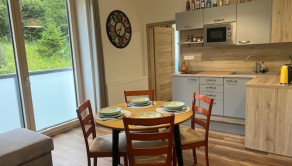 Na predaj 2-izbový apartmán vo Vysokých Tatrách- Nový Smokovec - fotografia 5