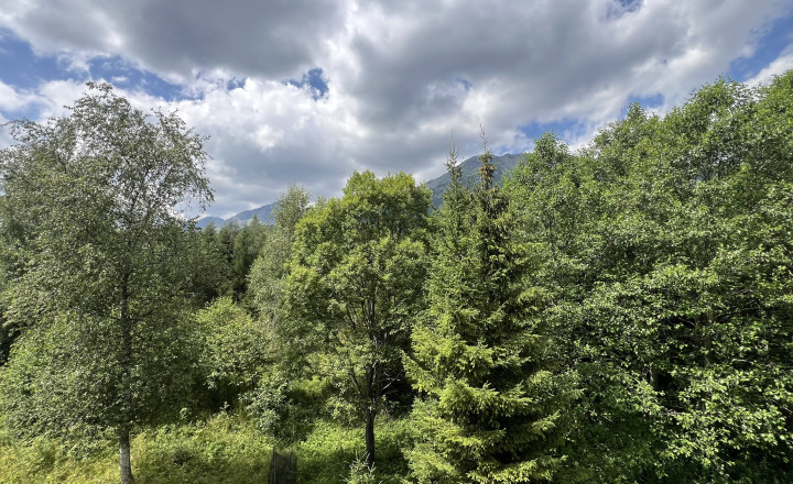 Na predaj 2-izbový apartmán v Novom Smokovci- Vysoké Tatry - fotografia 19